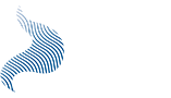 Logo - Dr. Zailton Jr.